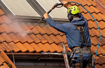 Démoussage et hydrofuge de toiture à Lieudieu
